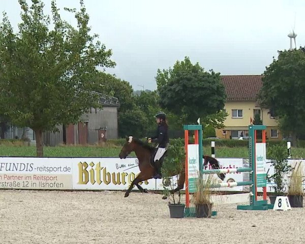 Reitturnier Rot am See- Musdorf 2023