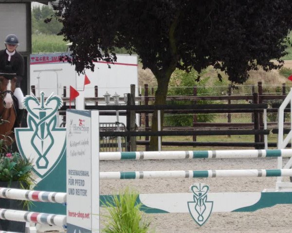 Reitturnier Worms-Pfeddersheim / Reitsportanlage Wittemer 2023