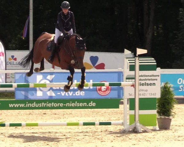 Reitturnier Ladelunder Springtage 2023