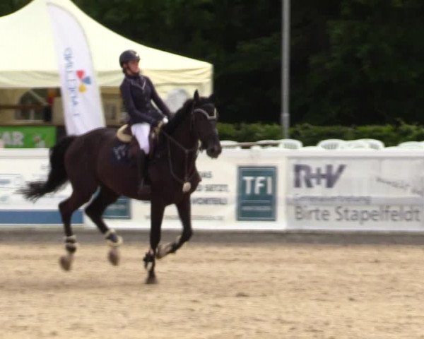 Reitturnier Ladelunder Springtage 2023