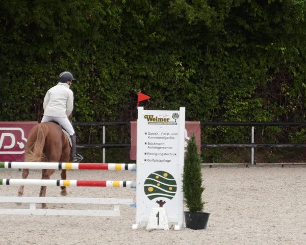 Reitturnier Worms-Pfeddersheim / Reitsportanlage Wittemer 2023