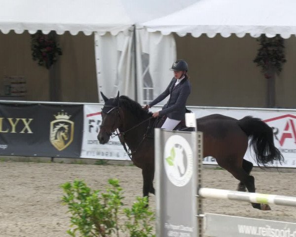 Reitturnier Karlsfeld 2023