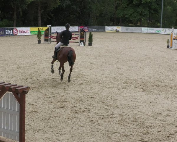 Reitturnier Karlsfeld 2023