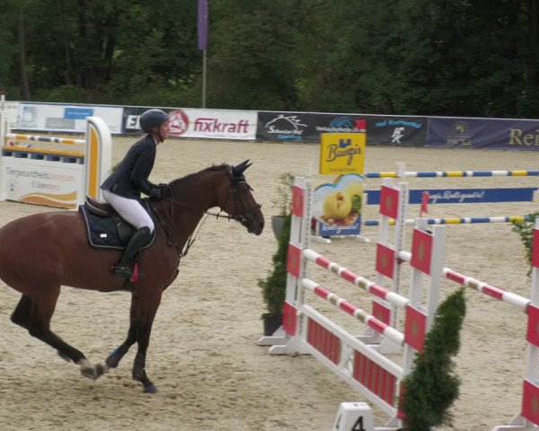 Reitturnier Karlsfeld 2023