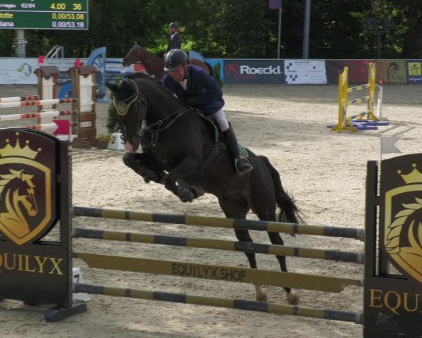 Reitturnier Karlsfeld 2023