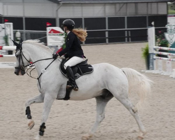 Reitturnier Worms-Pfeddersheim / Reitsportanlage Wittemer 2023
