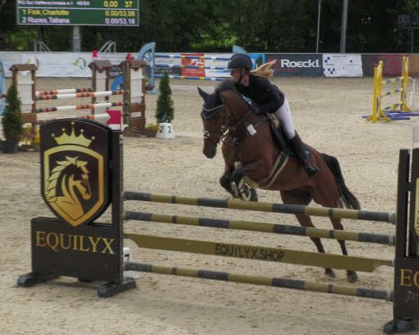 Reitturnier Karlsfeld 2023