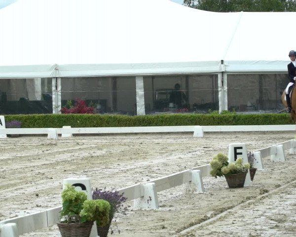 Reitturnier Neu-Anspach / Wintermühle 2023