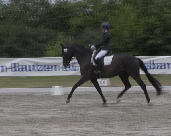 Reitturnier Baschütz bei Bautzen 2023