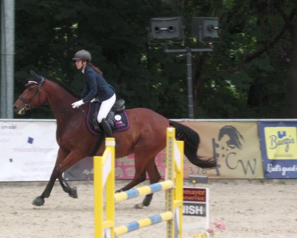 Reitturnier Karlsfeld 2023