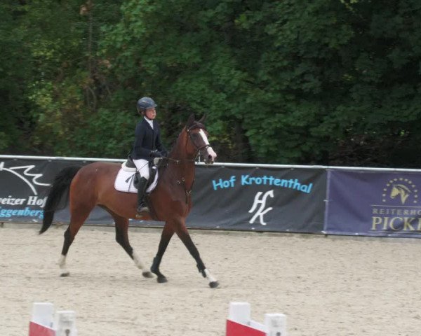 Reitturnier Karlsfeld 2023