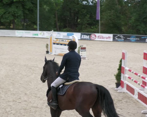 Reitturnier Karlsfeld 2023