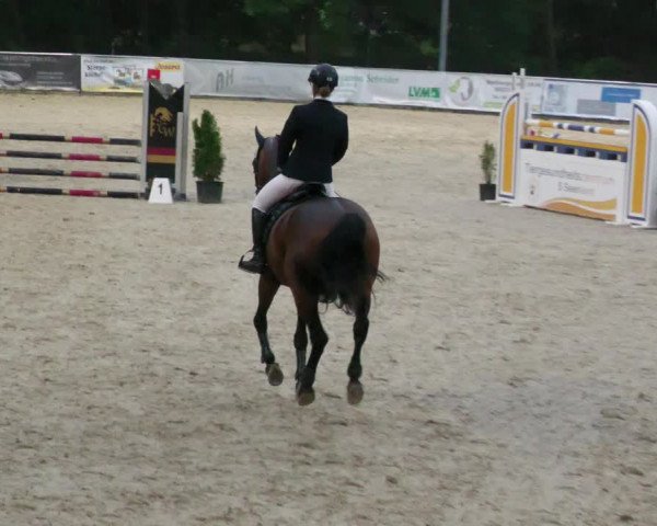 Reitturnier Karlsfeld 2023