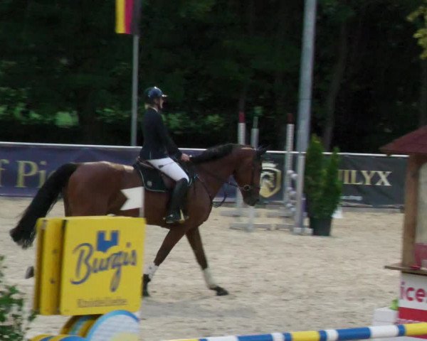 Reitturnier Karlsfeld 2023