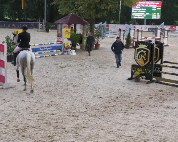 Reitturnier Karlsfeld 2023
