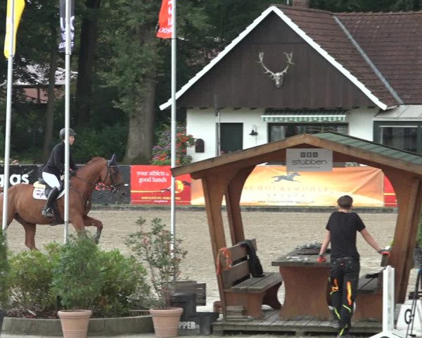 Reitturnier Klein Roscharden 2023