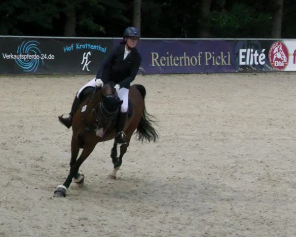 Reitturnier Karlsfeld 2023