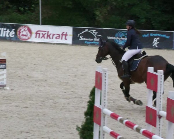 Reitturnier Karlsfeld 2023