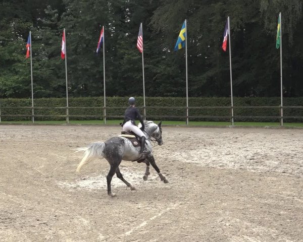 Reitturnier Klein Roscharden 2023