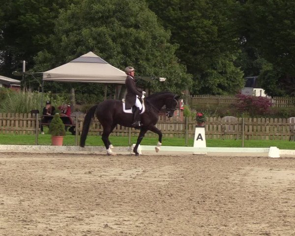 Reitturnier Breiholz/ Schülp 2023