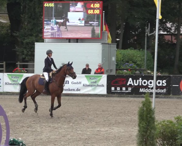 Reitturnier Klein Roscharden 2023