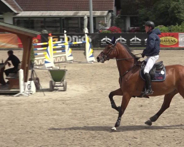 Reitturnier Klein Roscharden 2023