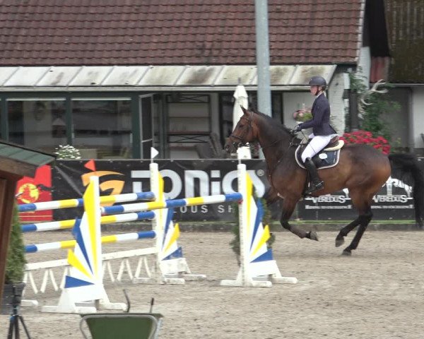 Reitturnier Klein Roscharden 2023