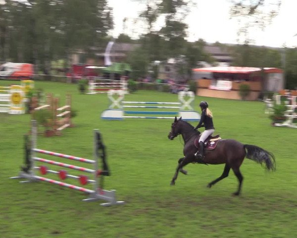 Reitturnier Etingen 2023