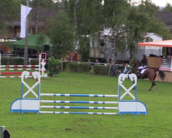 Reitturnier Etingen 2023