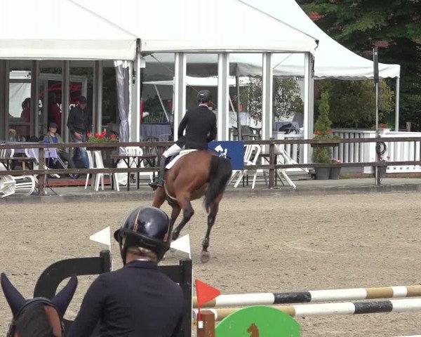 Reitturnier Klein Roscharden 2023