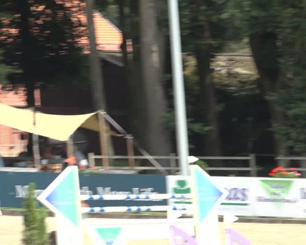 Reitturnier Klein Roscharden 2023