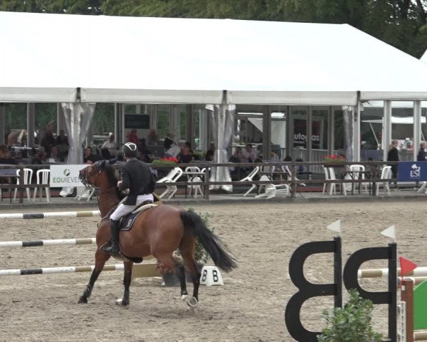 Reitturnier Klein Roscharden 2023