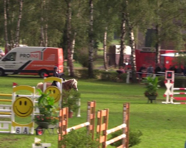 Reitturnier Etingen 2023