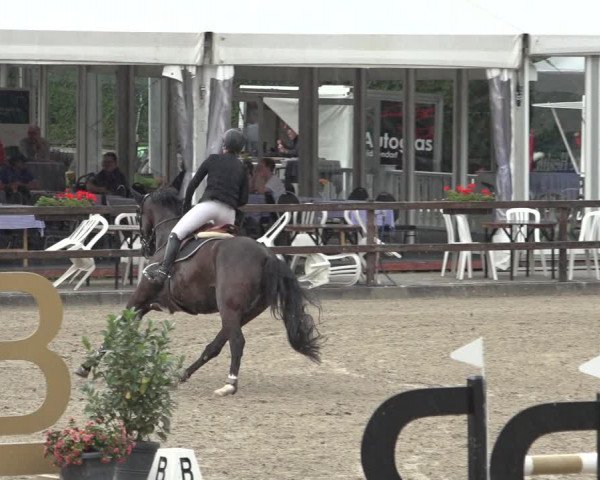 Reitturnier Klein Roscharden 2023