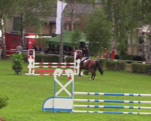 Reitturnier Etingen 2023