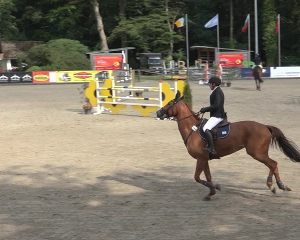 Reitturnier Klein Roscharden 2023