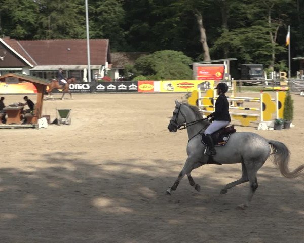 Reitturnier Klein Roscharden 2023