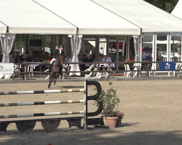 Reitturnier Klein Roscharden 2023