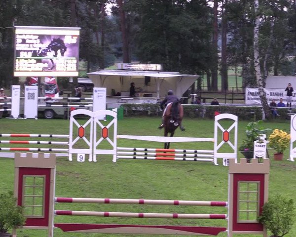 Reitturnier Etingen 2023