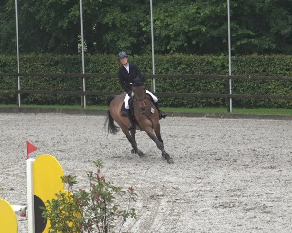 Reitturnier Klein Roscharden 2023