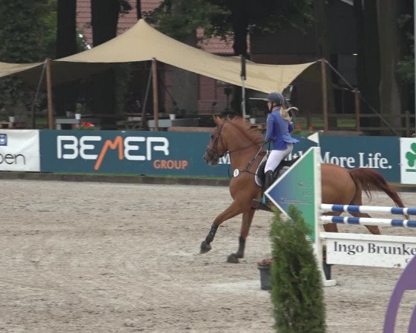 Reitturnier Klein Roscharden 2023