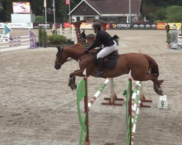 Reitturnier Klein Roscharden 2023