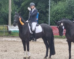dressage horse Abini (Westphalian, 2018, from Arpeggio)
