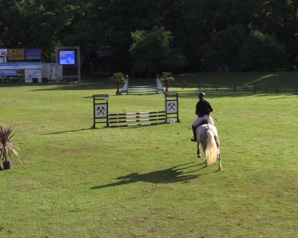 Reitturnier Gallinchen 2023