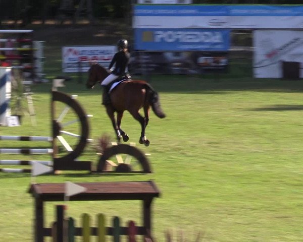 Reitturnier Gallinchen 2023
