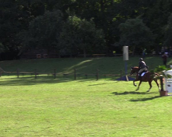 Reitturnier Gallinchen 2023
