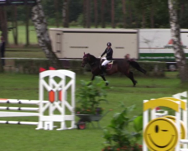 Reitturnier Etingen 2023