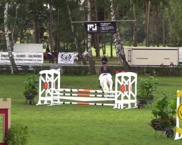 Reitturnier Etingen 2023