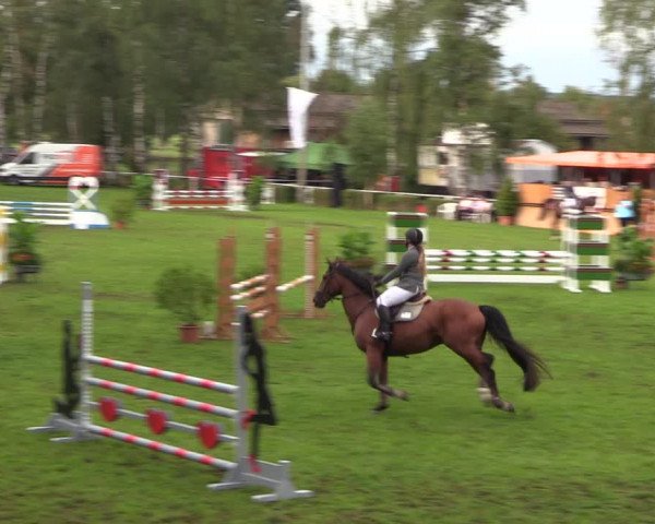 Reitturnier Etingen 2023
