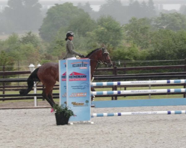 Reitturnier Worms-Pfeddersheim / Reitsportanlage Wittemer 2023